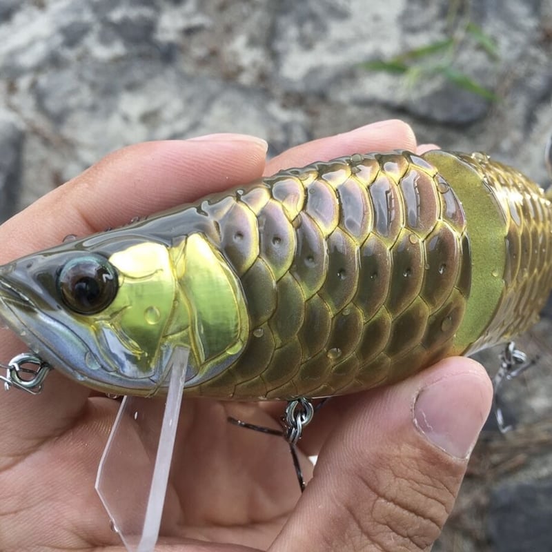 AROWANA（アロワナ） | soradesign