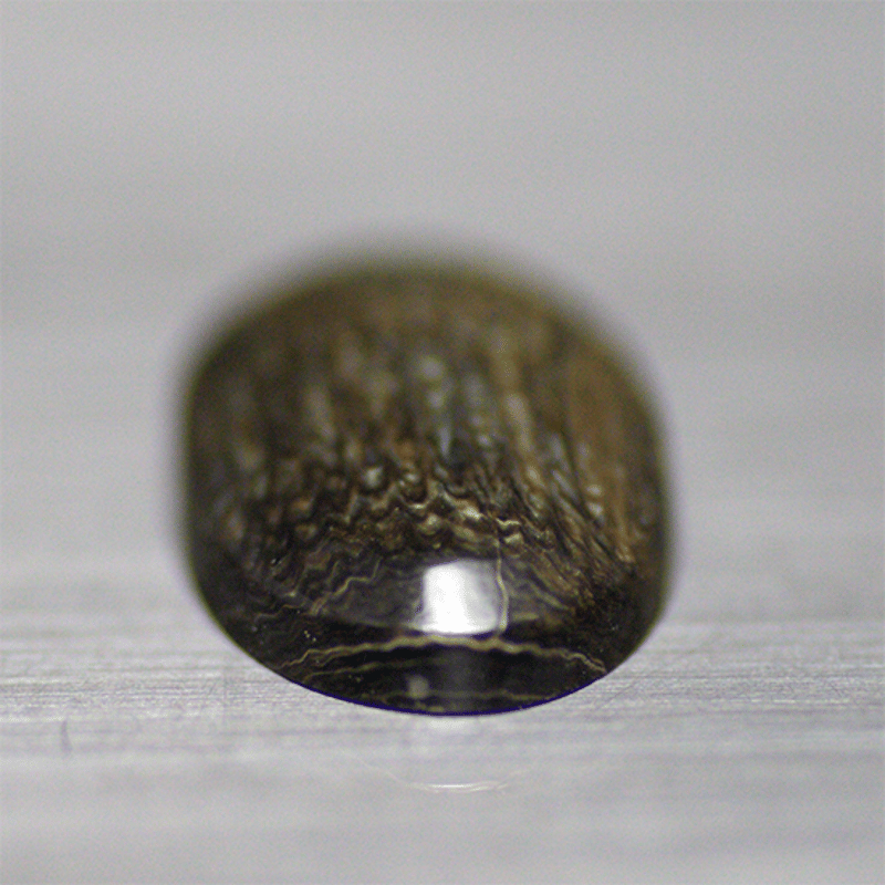 深海松 ルース 001 | mineralhonpo