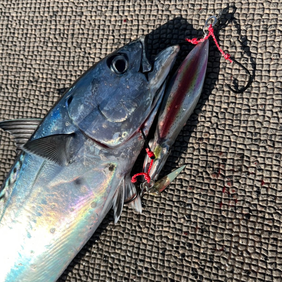 fit=scale-down,w=1200