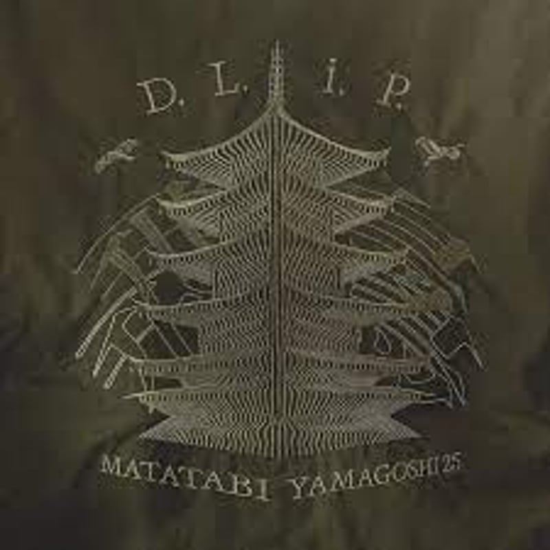 DUSTY HUSKY ”飛鳥山越ボンバージャケット” | DLiP RECORDS OFFI