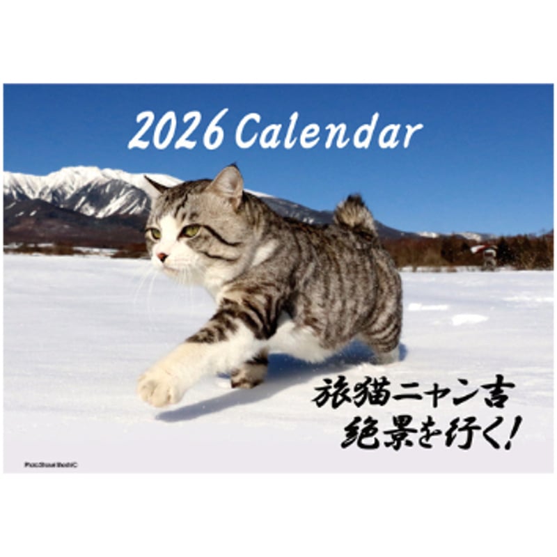 予約販売】 旅猫 ニャン吉 2026年 壁掛けカレンダー KK26096 | ANISTAR