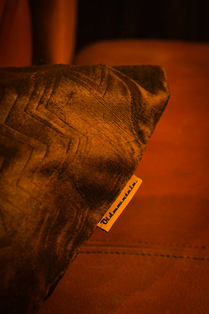 Veroa Cushion Cover | old mountain