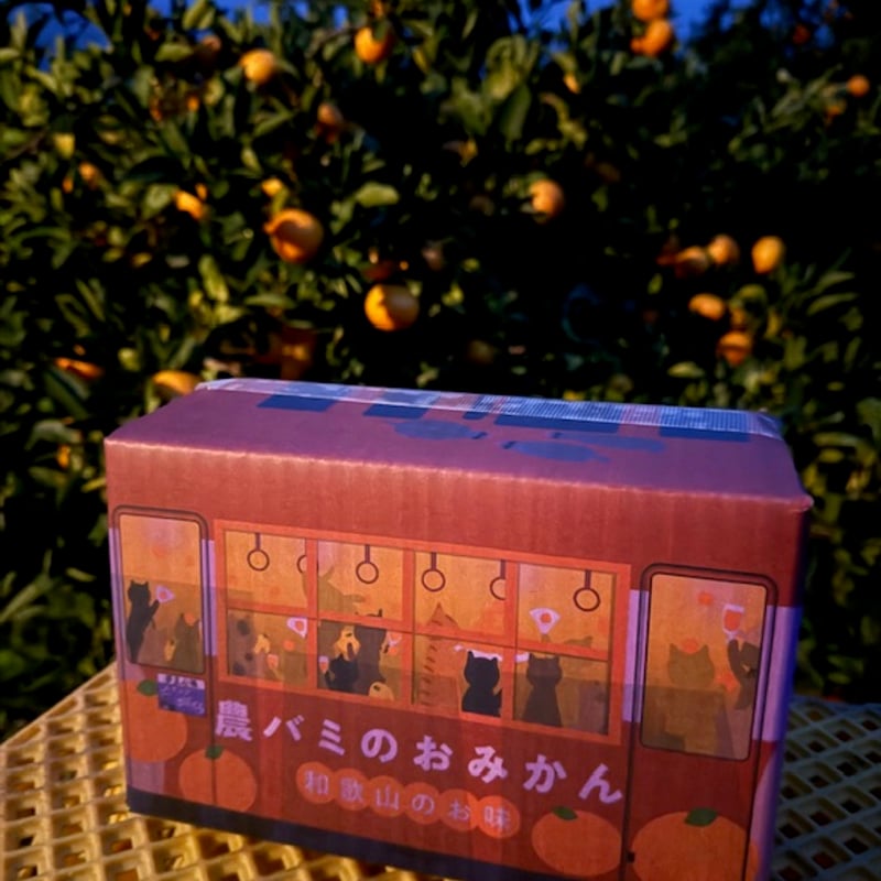 農バミのおみかん2025 2kg相当＋【おまけ】 | ココニャエンタープライズ