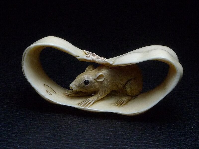 fit=scale-down,w=1200