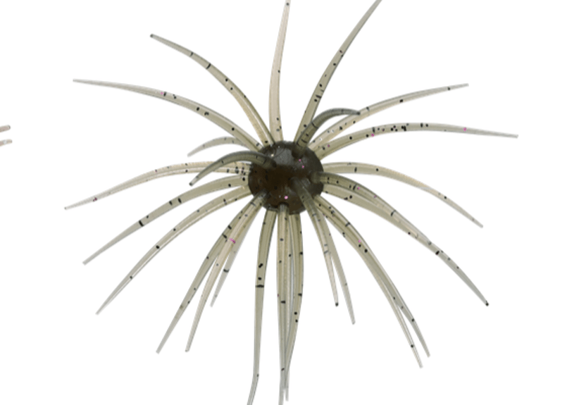 □お1人様各色お1つ限り□ Hide Up コイケ13mm #各色 | Sexyfish Th