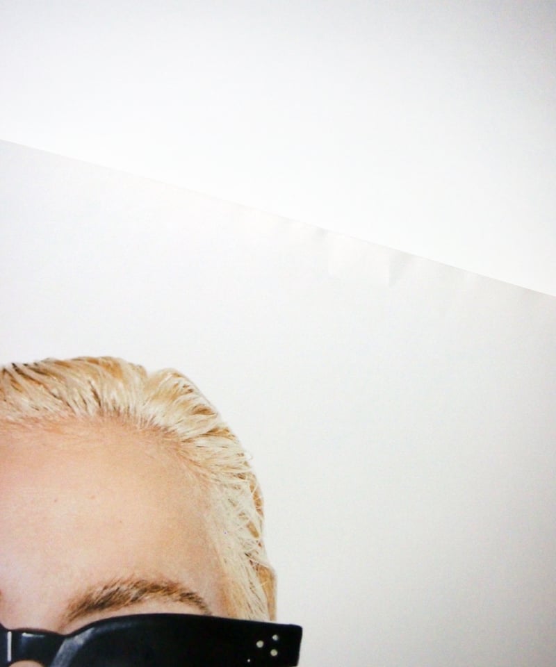 Supreme/ Lady Gaga Poster | OWL OF ORCHARD™︎