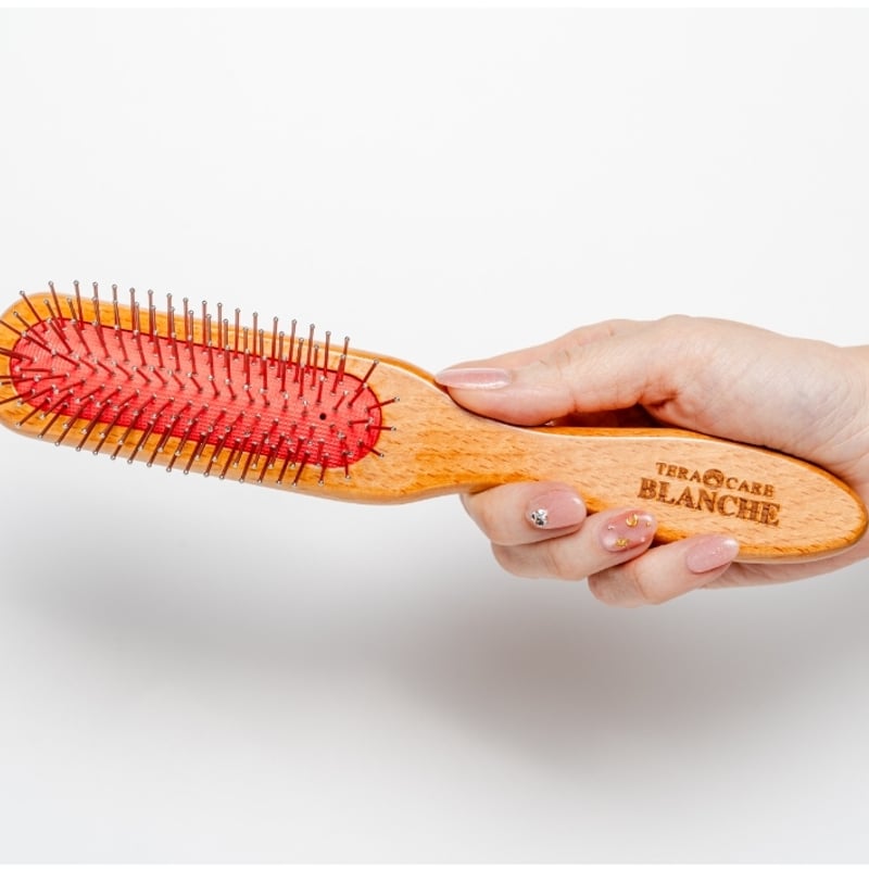 ペット&人 兼用♪テラケア®️ブラシ+専用ブラシケースのSet定価¥24,310