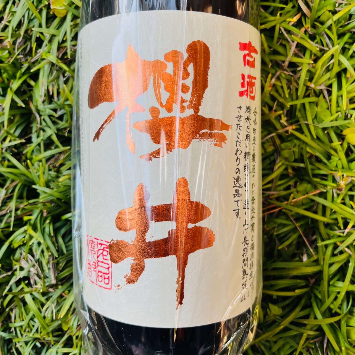 fit=scale-down,w=1200