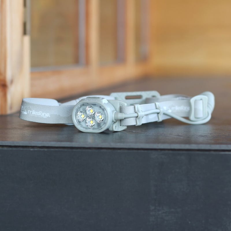 milestone MS-i1“EnduranceModel” milestone MS-I1 