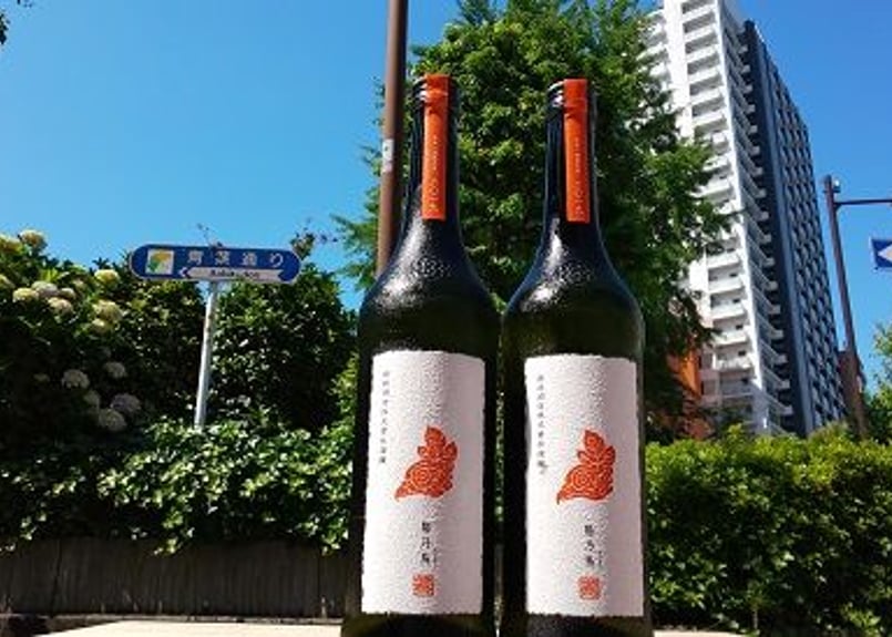 新政 陽乃鳥（ひのとり） 720ml | おいしい地酒とワインの店ワダヤ