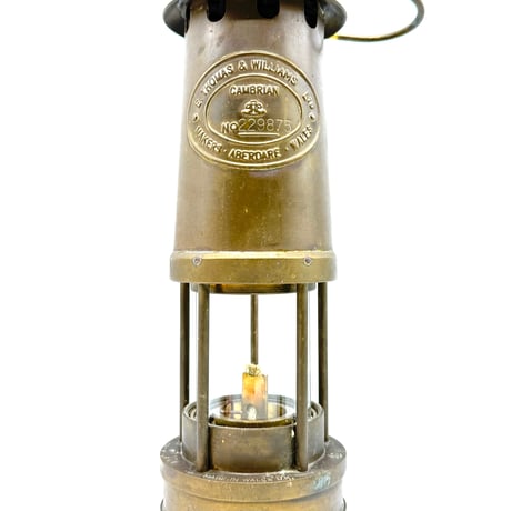 カンブリアンランタン | STORES