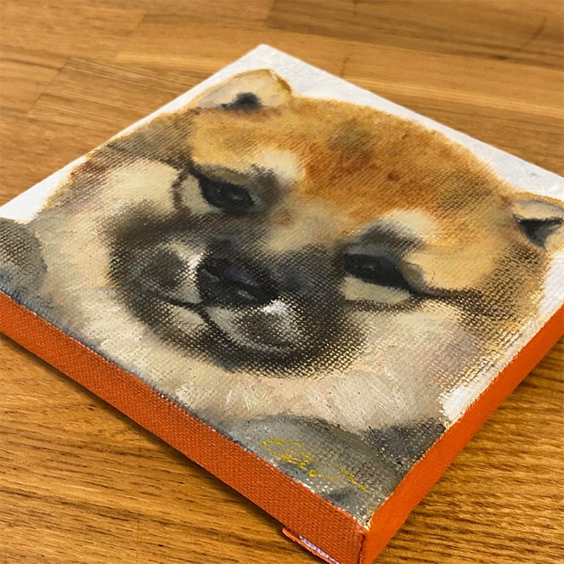 ミニキャンバス油彩《柴犬の赤ちゃん》 | 作家作品の発表・販売の場