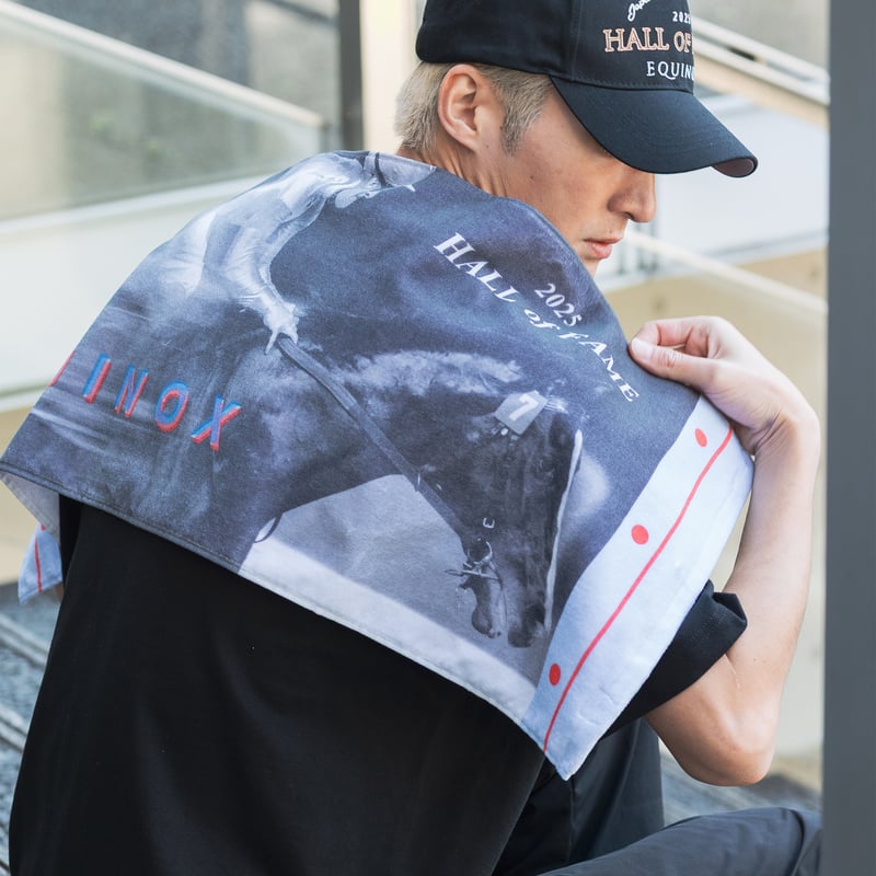イクイノックス顕彰馬選定記念 フェイスタオル | HORSEGOODSnet