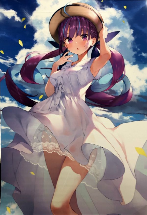 まかろん大帝（がおう先生）】”ホロライブ”湊あくあB2タペストリー | K