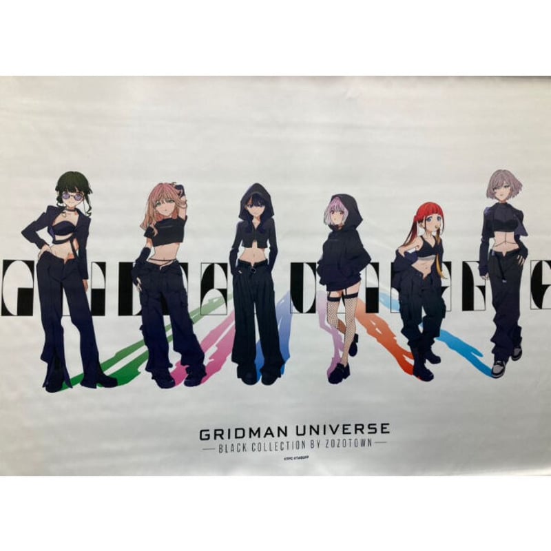 グリッドマンユニバース ZOZOTOWN B2タペストリー（集合） | K-BOOKS