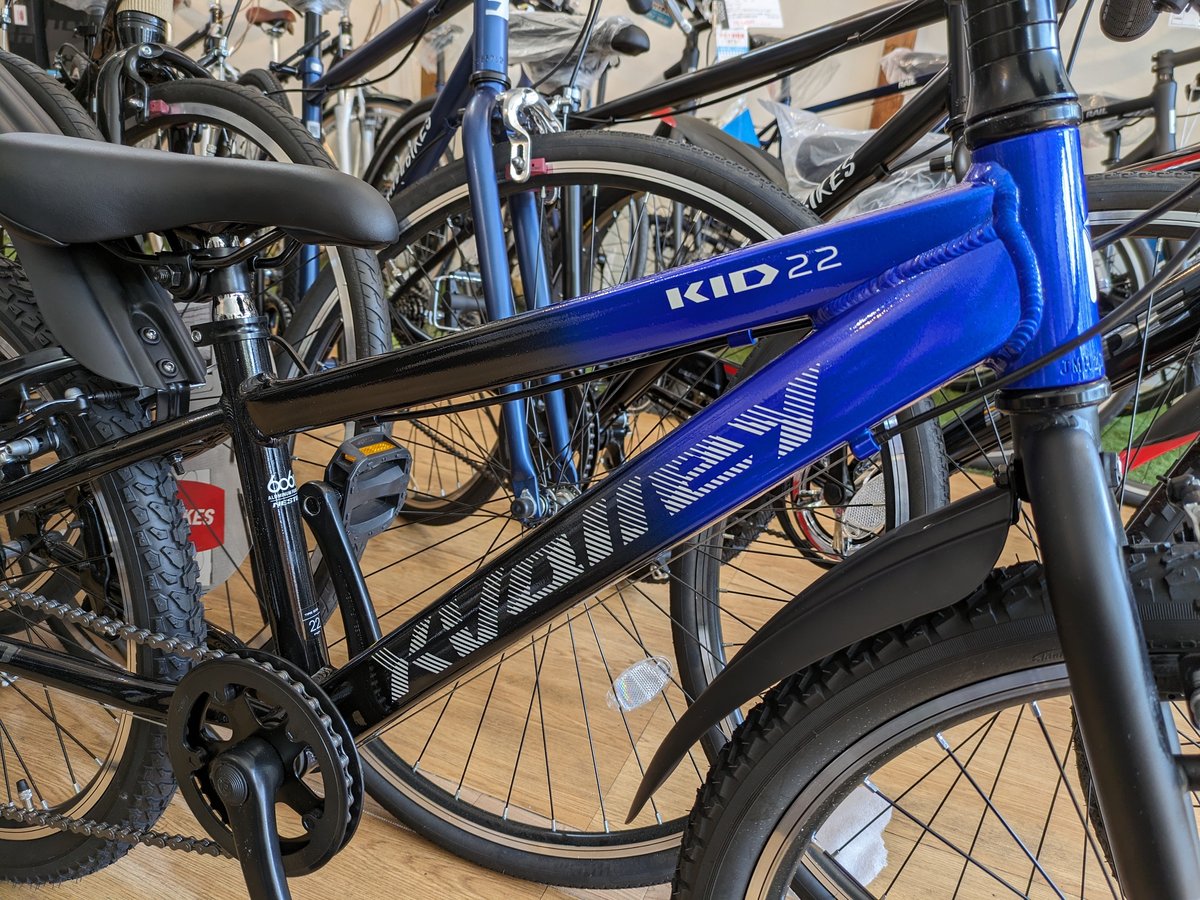 NESTO ネスト クロスバレー X-VALLEY KID 20 22インチ | 悠々サイクル