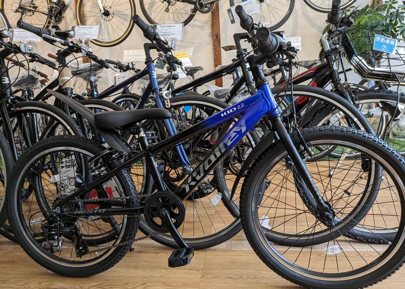 NESTO ネスト クロスバレー X-VALLEY KID 20 22インチ | 悠々サイクル