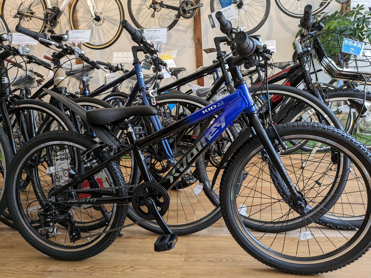 NESTO ネスト クロスバレー X-VALLEY KID 20 22インチ | 悠々サイクル