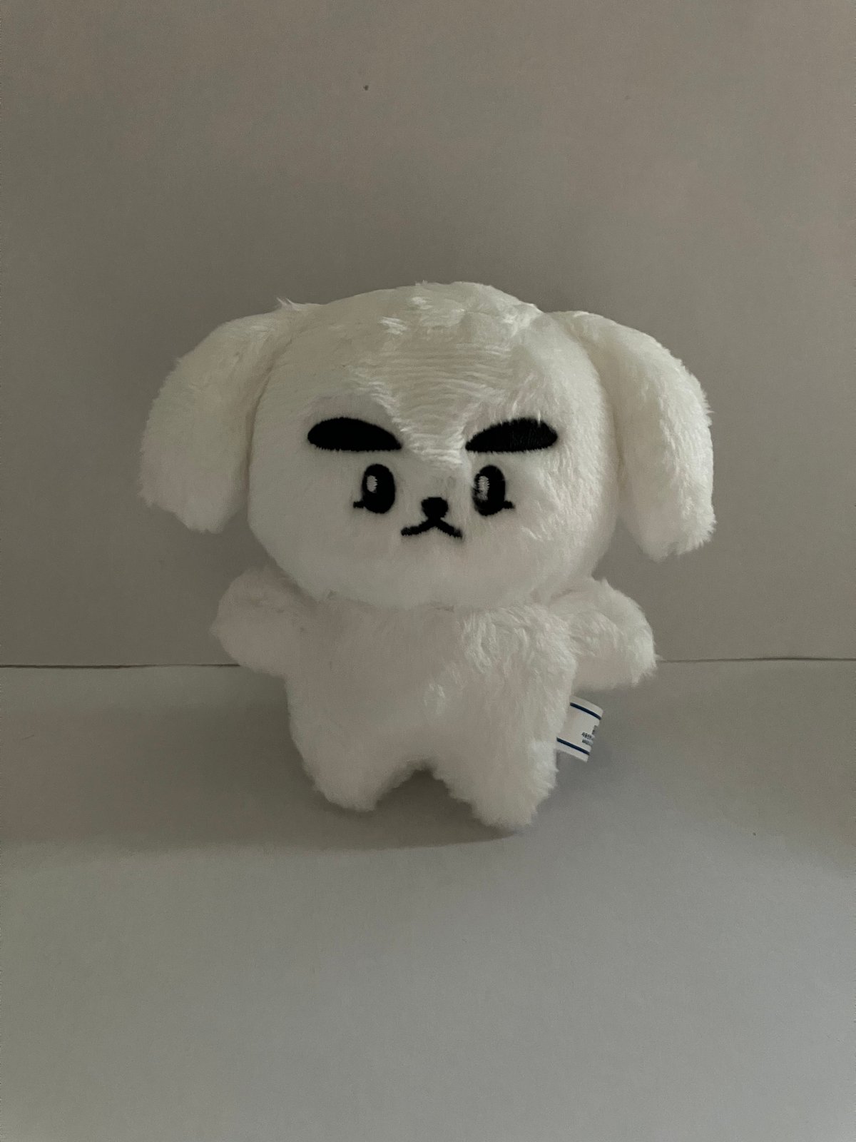 NCT WayV タクムンイ シャオジュン 10c 人形 | babyonigirilove'