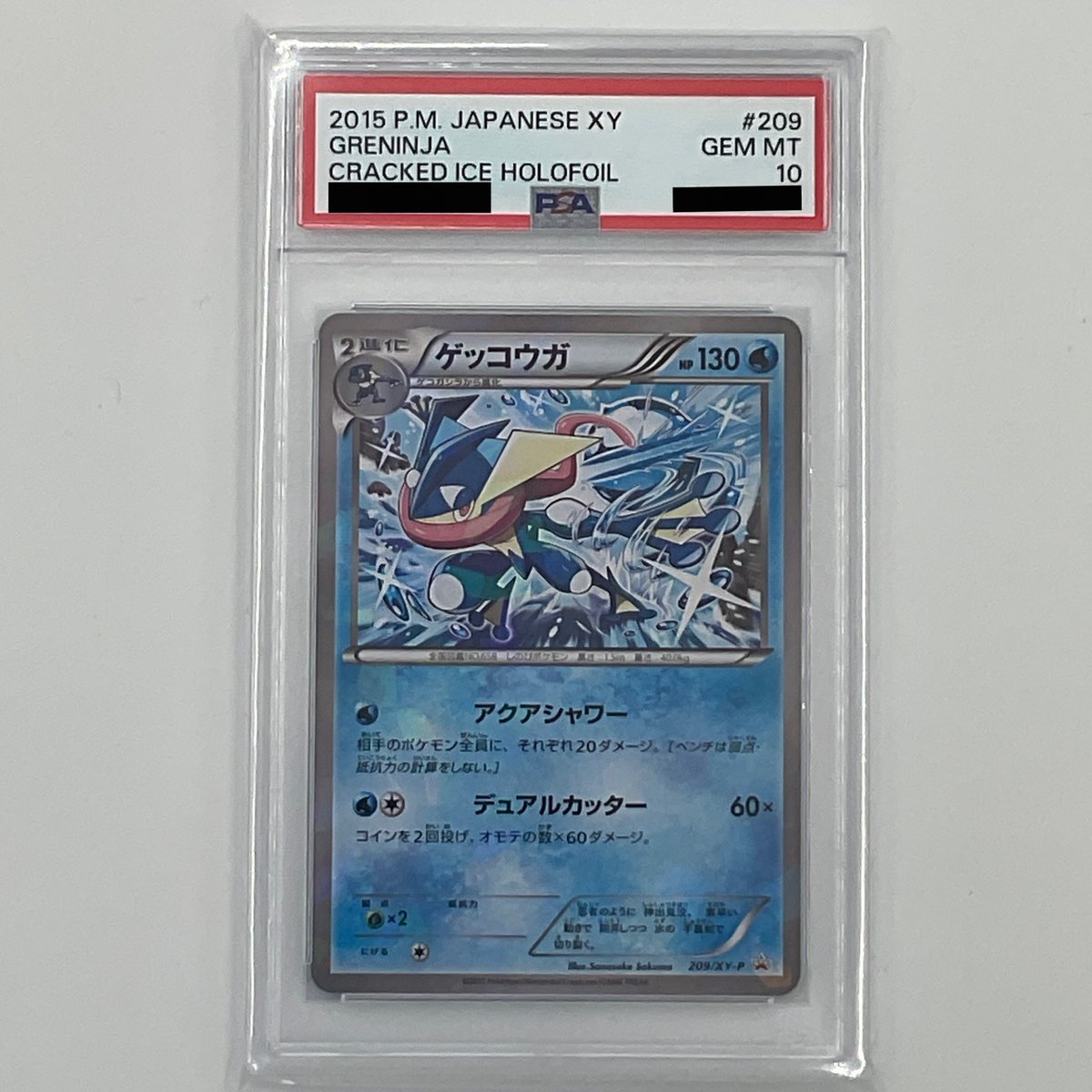 PSA10 ゲッコウガ【P】209/XY-P | ポケカ専門YBLS