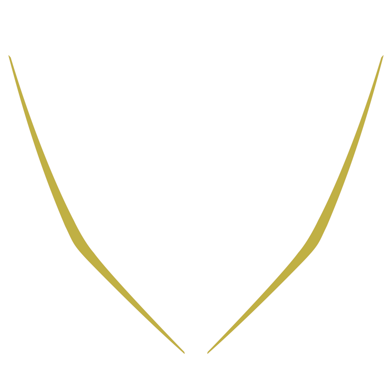 ZX-14R専用アイラインデカール(メタリックカラー) | Micrographic