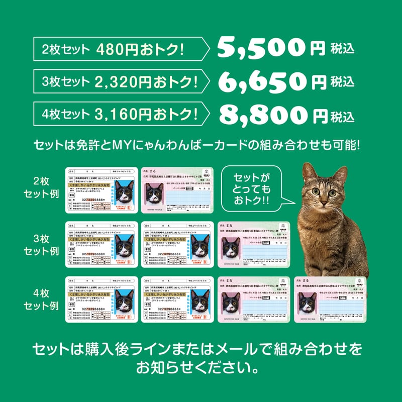 にゃんわん免許証風カード | バーニャ商店