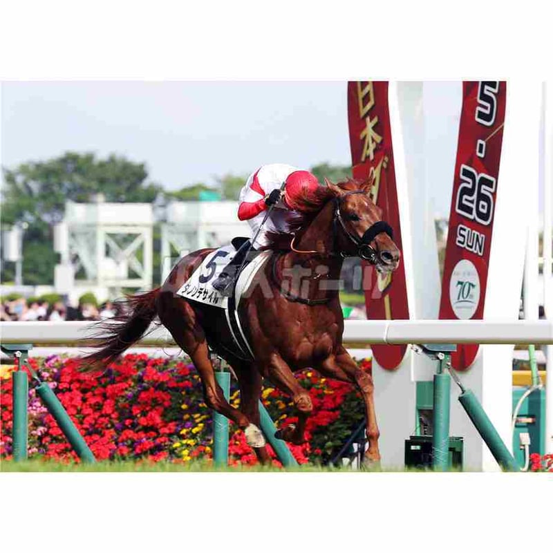 第91回日本ダービー ダノンデサイル（A4） | 中日新聞フォトサービス