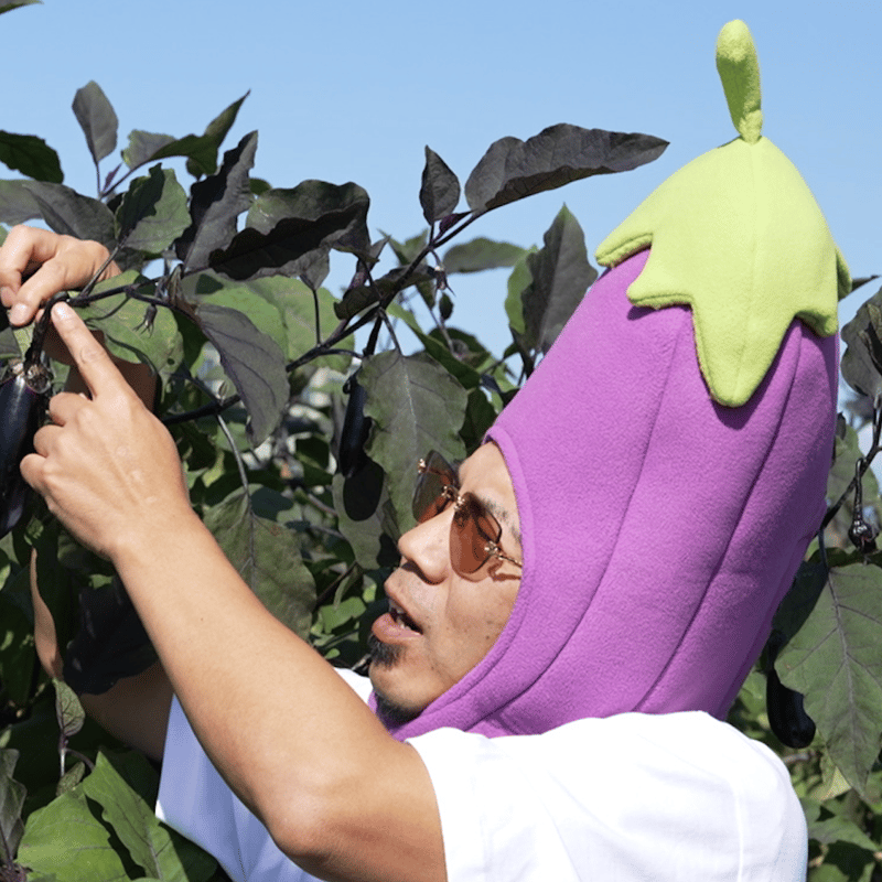 本物のナスビの被り物 | 天竺川原イベントGOODS