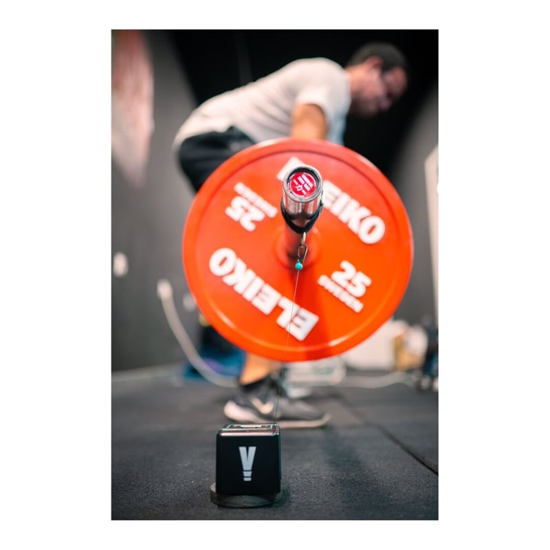 VITRUVE 標準セット | SANDC STORE