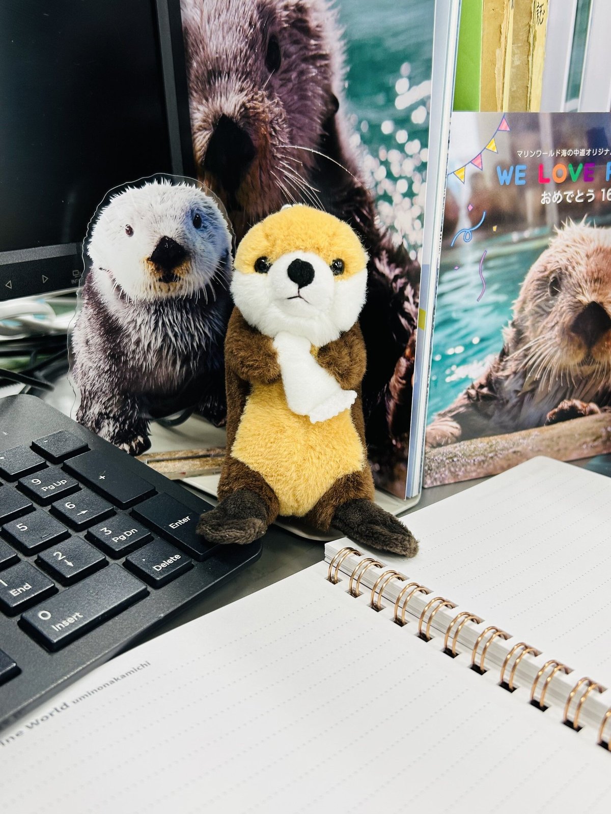 dou dou マスコット いつもいっしょ ともだちラッコ | すいそう