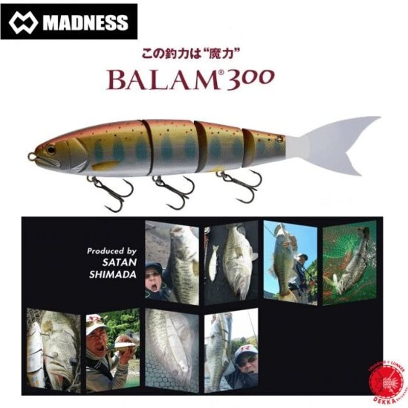 MADNESS JAPAN / マドネスジャパン 【 BALAM 300 / バラム 300】