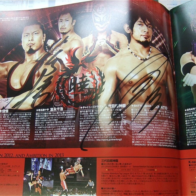 ドラゴンゲート オフィシャルパンフレット2013Vol.29（斎藤、ススム