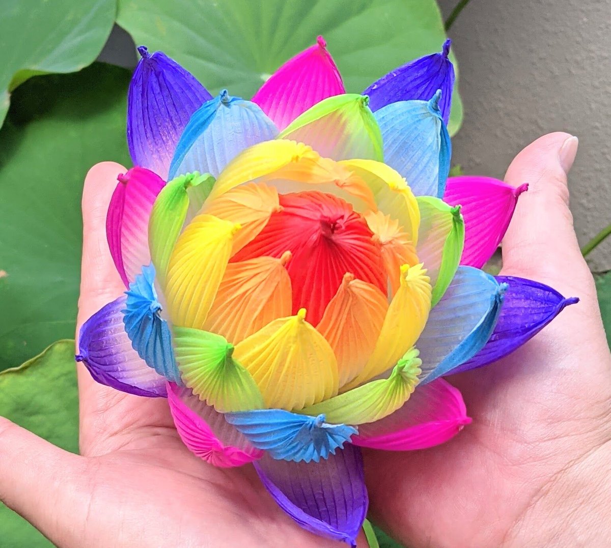 不空の蓮 彩蓮（さいれん） | したくや縁