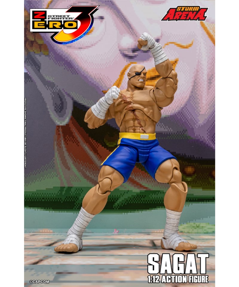 ストリートファイターZERO3 1/12スケール アクションフィギュア
