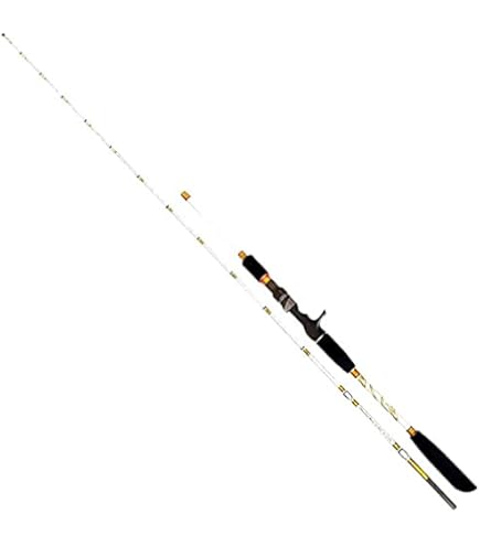 Amazon | ダイワ(DAIWA) 船竿 シーフレックス64 50-270 釣り竿