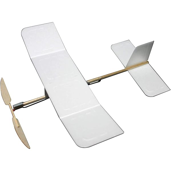 Amazon.co.jp: 必ずよく飛ぶ室内模型飛行機 (初級) (つくるブックス