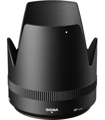 Amazon.co.jp: SIGMA 望遠ズームレンズ APO 70-200mm F2.8 EX DG OS