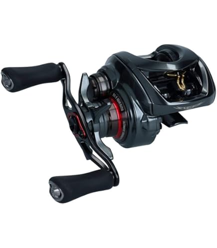 Amazon.co.jp: Daiwa Bass Bait Reel 24 STEEZ SV TW 100H (2024 Model