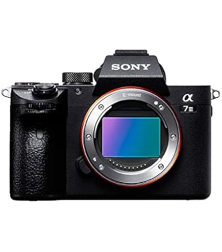 Amazon | SONY デジタルカメラ Cybershot HX1 (910万画素/光学x20