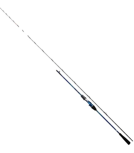 Amazon | ダイワ(DAIWA) 船竿 極鋭ギア AGS M-205AGS 釣り竿 | ダイワ