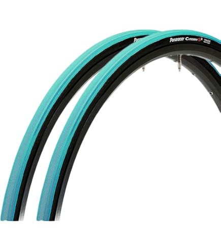 Amazon | パナレーサー(Panaracer) グラベルキングX1 700×40C