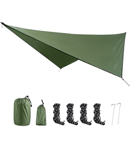 Amazon | Coleman(コールマン) タープ イージーキャノピーST2 220