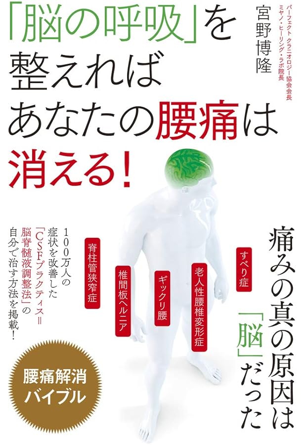 ソフトブロックテクニック脳脊髄液調整法―CSFプラクティス2015~16年版