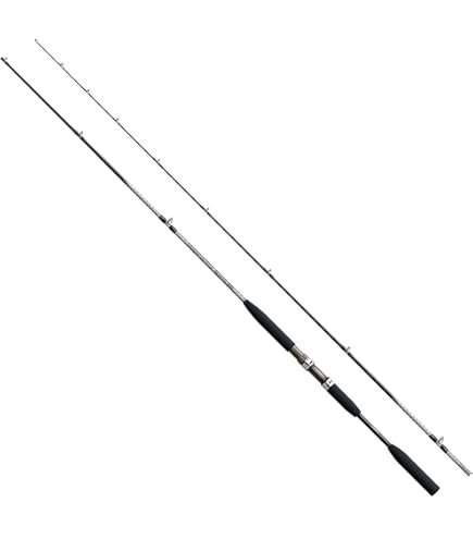 Amazon | ダイワ(DAIWA) 船竿 アナリスター アマダイ 205 釣り竿