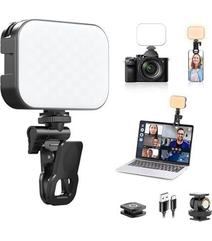 Amazon | LPL ビデオライト ブロムビデオライト 300Wタイプ L2332