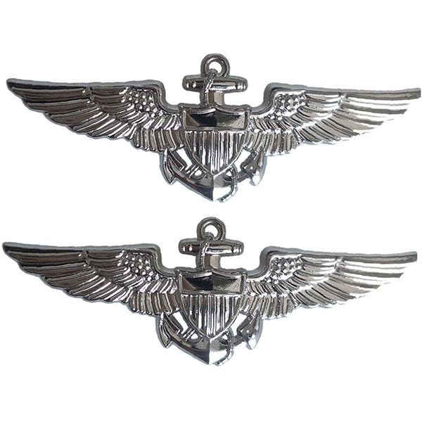 Amazon.co.jp: AFB01 ミリタリー バッジ 米海軍/海兵隊パイロット