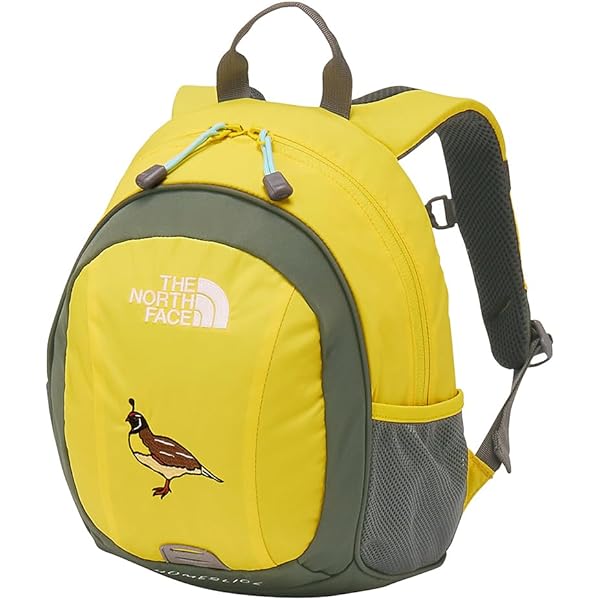 Amazon | [ザノースフェイス] リュック キッズ サニーキャンパー30