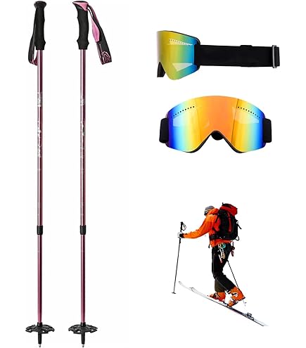 Amazon.co.jp: bca(ビーシーエー)SCEPTER CARBON POLE（セプター