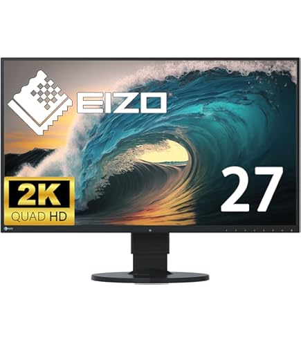Amazon.co.jp: EIZO FlexScan 22.5型カラー液晶モニター ブラック
