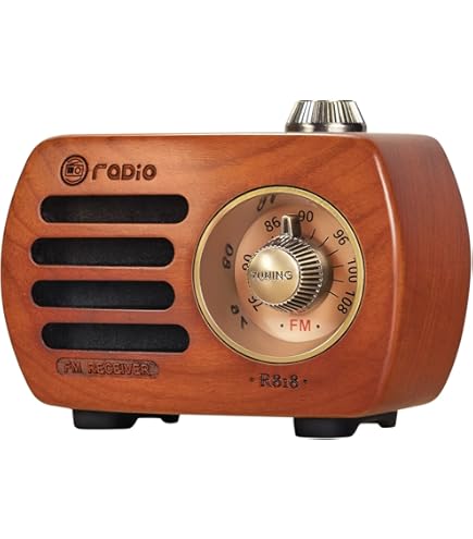 Amazon.co.jp: LUXMAN ラックスマン T-90 FM/AMチューナー ビンテージ